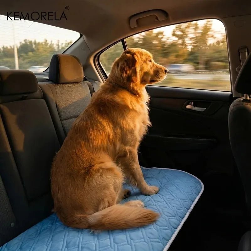 1PCS New Upgraded Ice Cooling Experience Summer Pet Cooling Mat Washable and Breathable Pet Cooling Pad All Season For Dogs Pet - Tara's Tiny Treasures