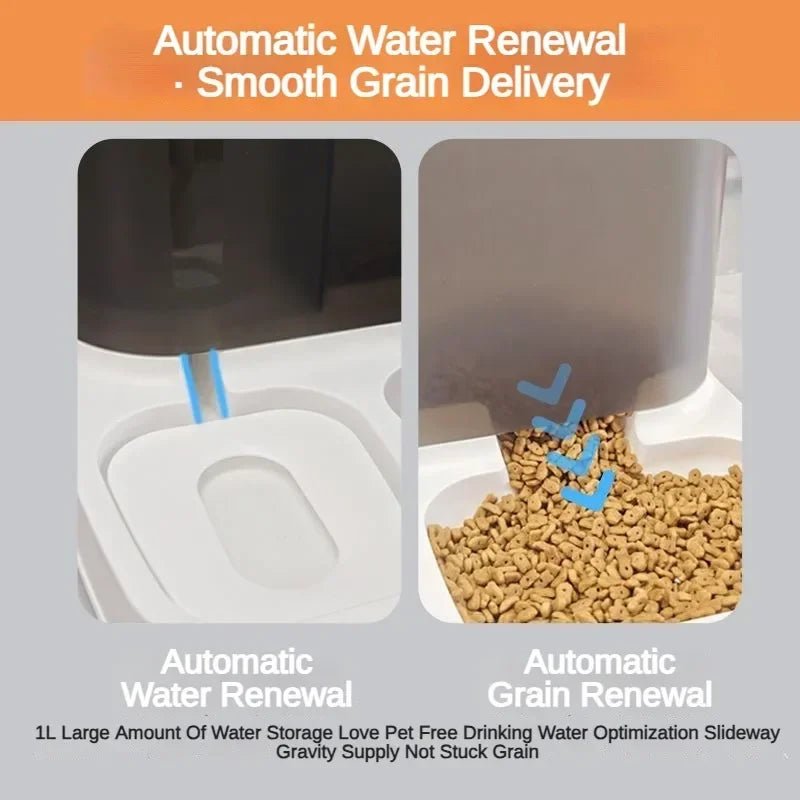 2 in 1 Pet Automatic Feeder Dry Food Storage Container Large Plastic Visible Pet Water Fountain Automatic Pet Food Dispenser - Tara's Tiny Treasures