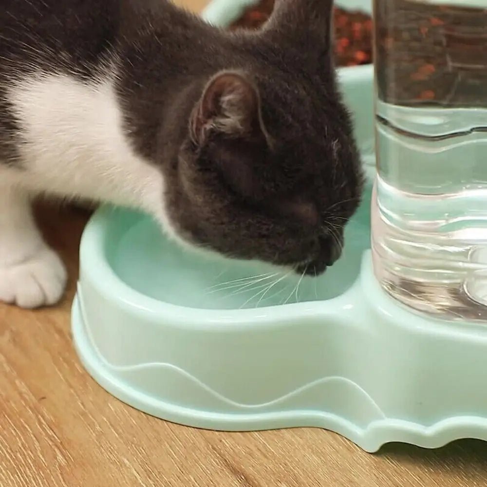 3.8L PP material Pet feeder Pet Water Fountain Drink Bowl Automatic Pet Feeder Large Cat Dog Food Dispenser - Tara's Tiny Treasures