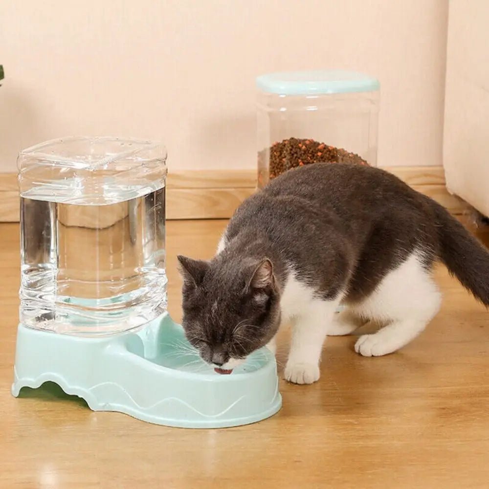 3.8L PP material Pet feeder Pet Water Fountain Drink Bowl Automatic Pet Feeder Large Cat Dog Food Dispenser - Tara's Tiny Treasures