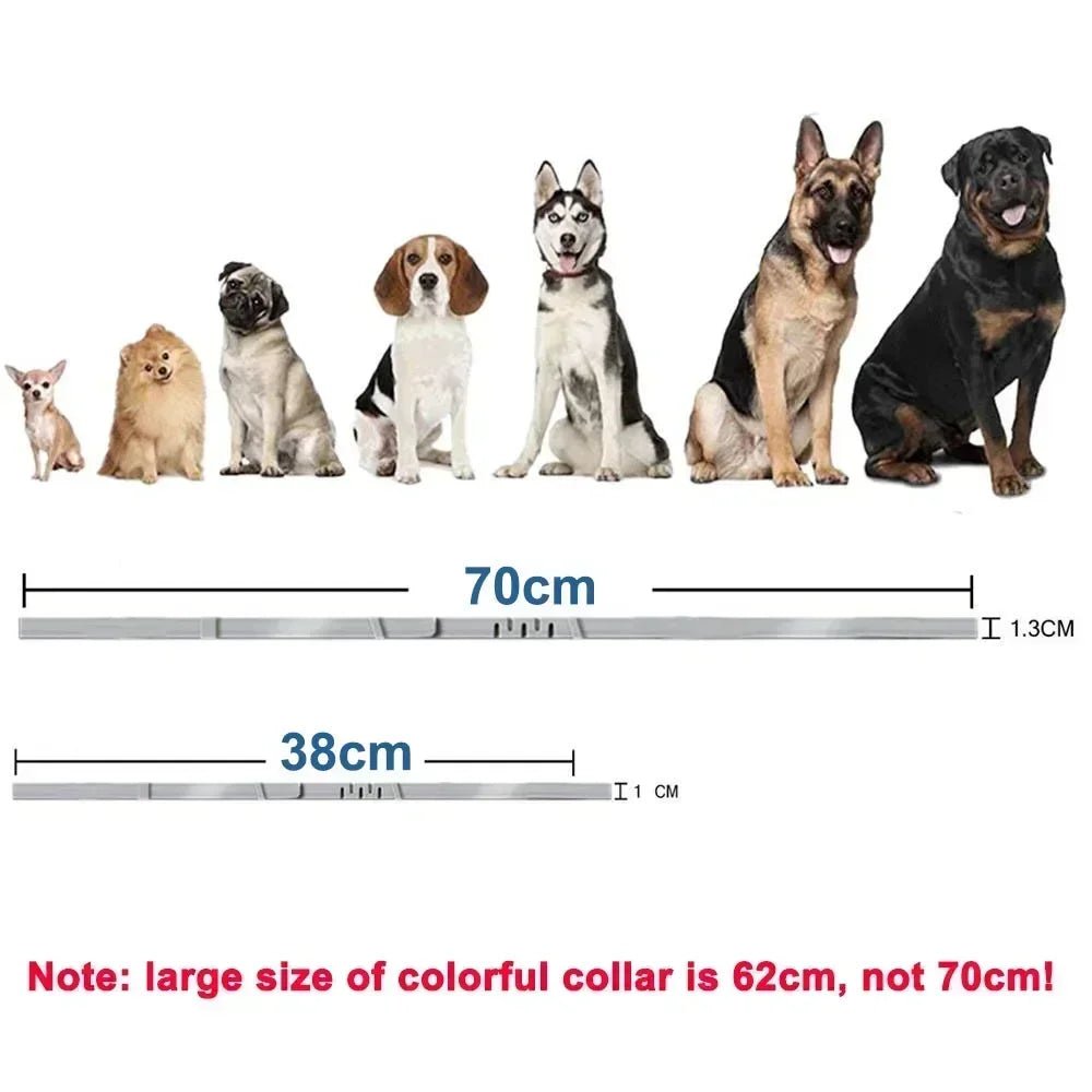 Adjustable Plastic Dog Collar Waterproof Pet Cat Puppy Collar Kitten Collars 70cm 38cm for Small Medium Large Dogs Pet Supplies - Tara's Tiny Treasures