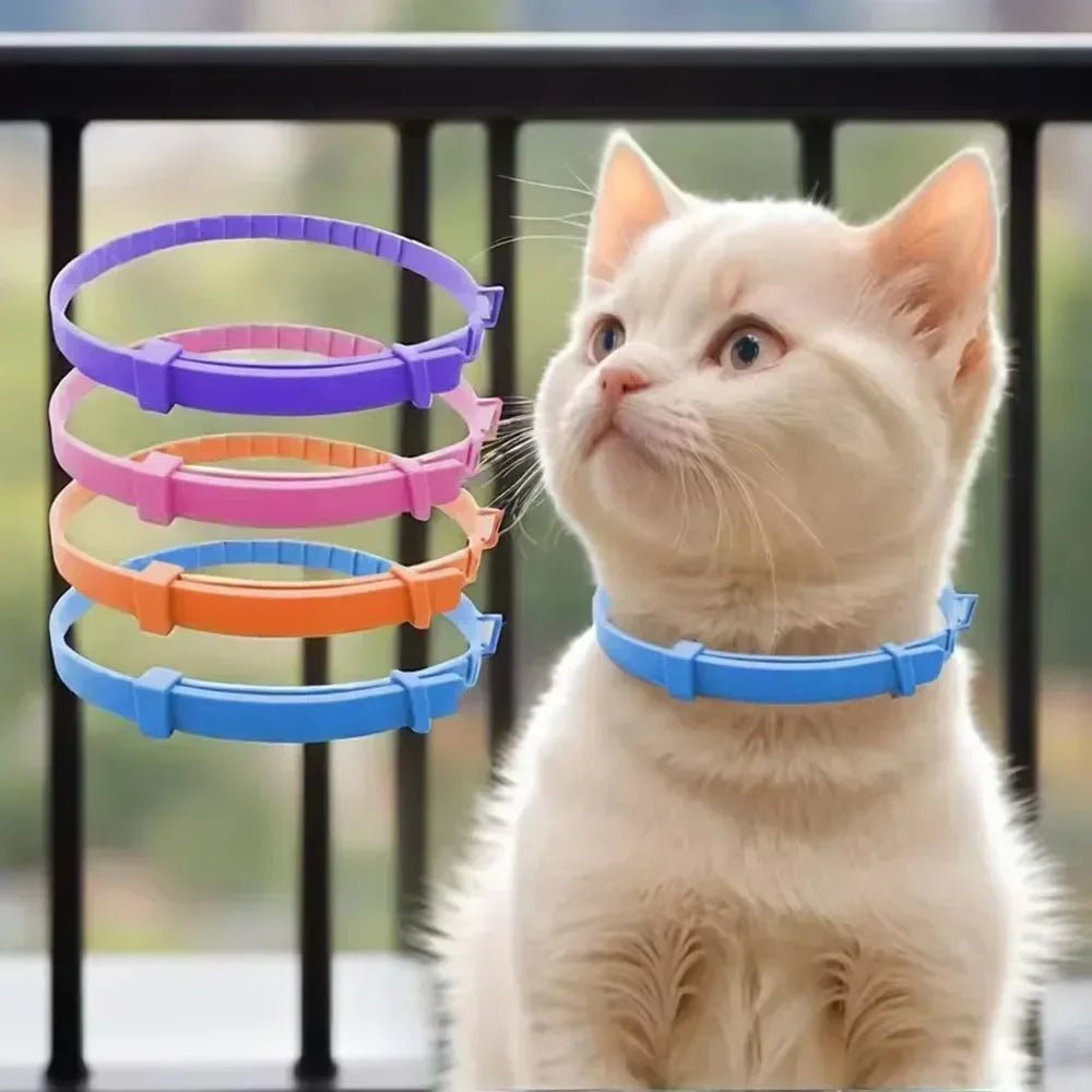 Adjustable Plastic Dog Collar Waterproof Pet Cat Puppy Collar Kitten Collars 70cm 38cm for Small Medium Large Dogs Pet Supplies - Tara's Tiny Treasures