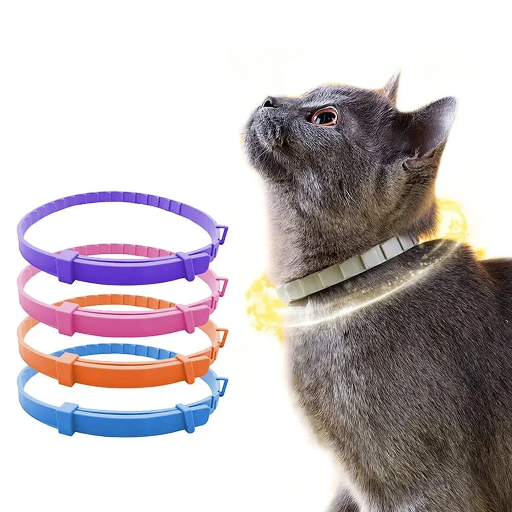 Adjustable Plastic Dog Collar Waterproof Pet Cat Puppy Collar Kitten Collars 70cm 38cm for Small Medium Large Dogs Pet Supplies - Tara's Tiny Treasures