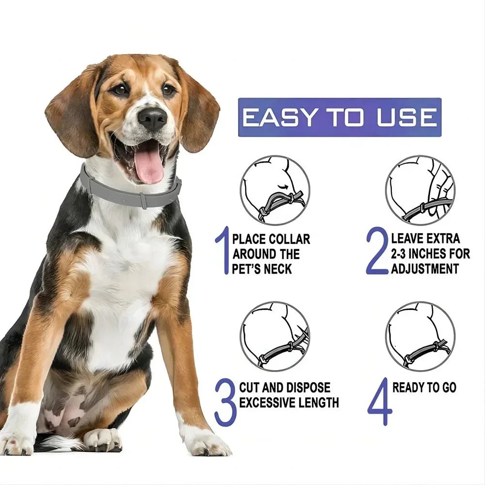 Adjustable Plastic Dog Collar Waterproof Pet Cat Puppy Collar Kitten Collars 70cm 38cm for Small Medium Large Dogs Pet Supplies - Tara's Tiny Treasures
