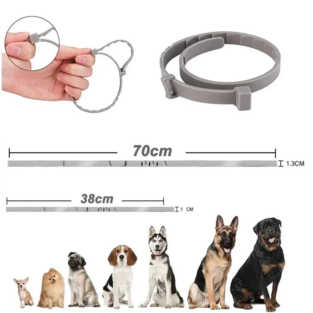 Adjustable Plastic Dog Collar Waterproof Pet Cat Puppy Collar Kitten Collars 70cm 38cm for Small Medium Large Dogs Pet Supplies - Tara's Tiny Treasures