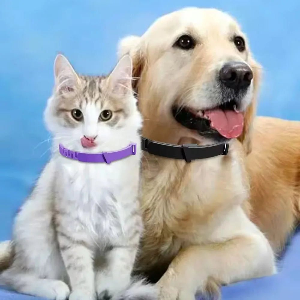 Adjustable Plastic Dog Collar Waterproof Pet Cat Puppy Collar Kitten Collars 70cm 38cm for Small Medium Large Dogs Pet Supplies - Tara's Tiny Treasures