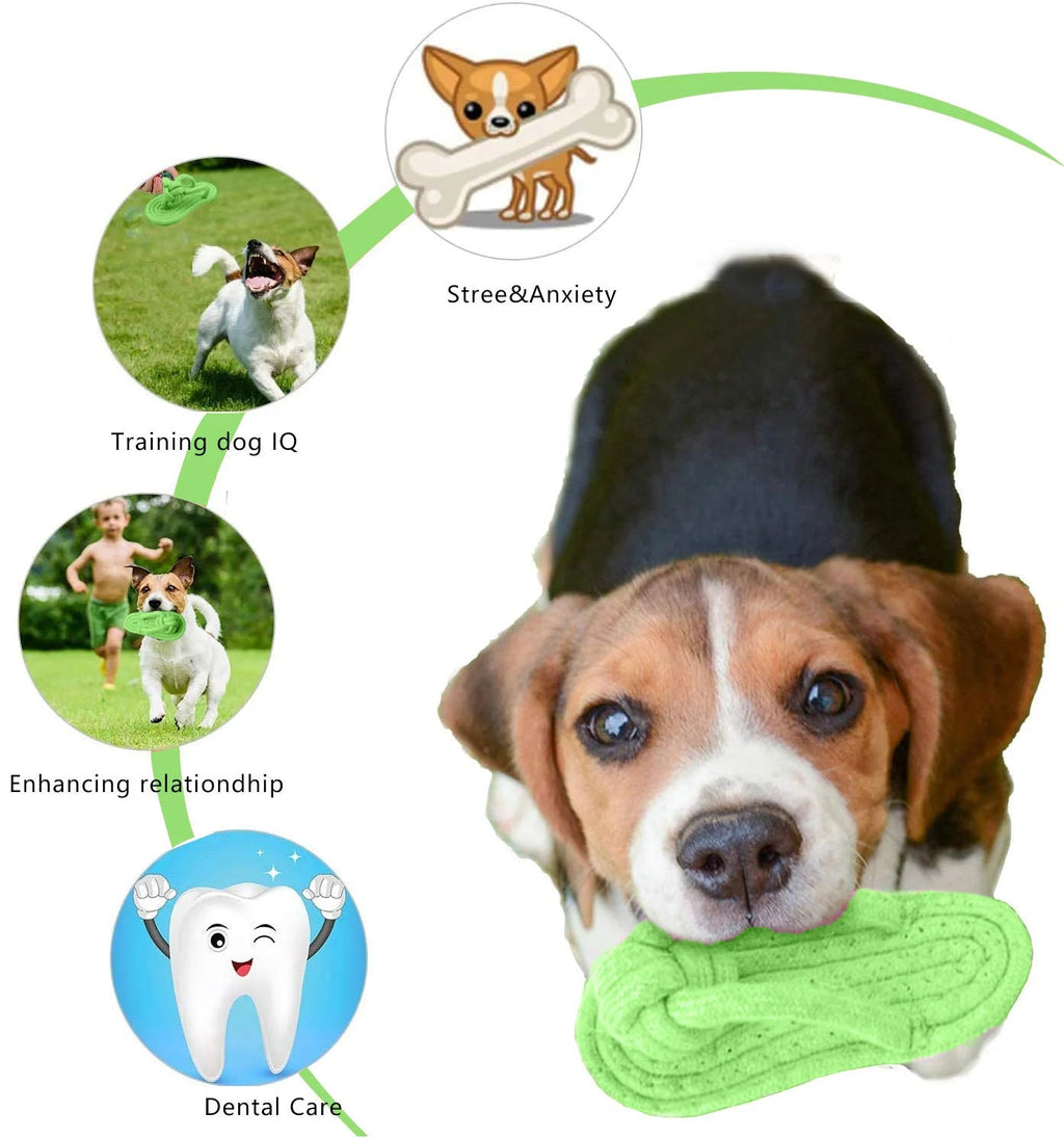 Dog Chewing Toy Cotton Slipper Rope Toy for Small Large Dogs Pet Teeth Training Molar Toys Interactive Dog Toy Dog Accessories - Tara's Tiny Treasures