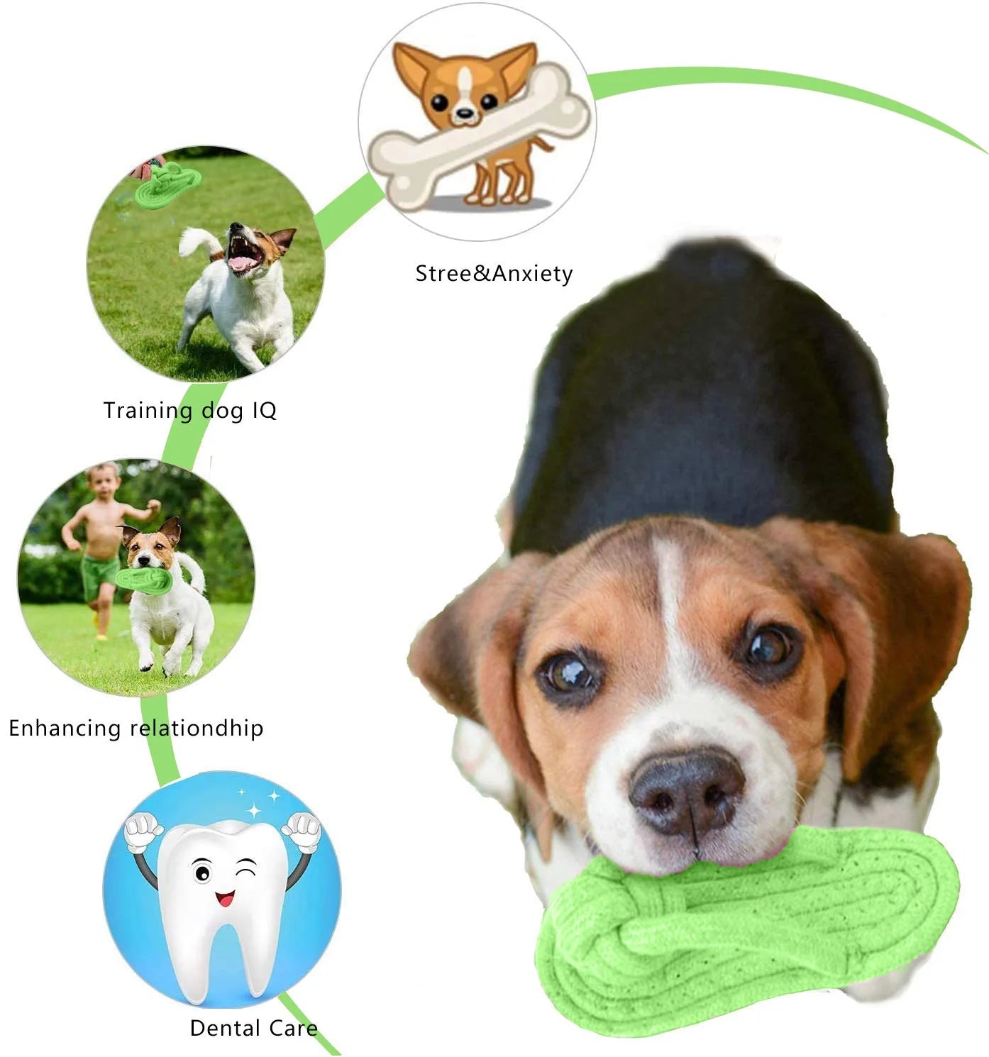 Dog Chewing Toy Cotton Slipper Rope Toy for Small Large Dogs Pet Teeth Training Molar Toys Interactive Dog Toy Dog Accessories - Tara's Tiny Treasures