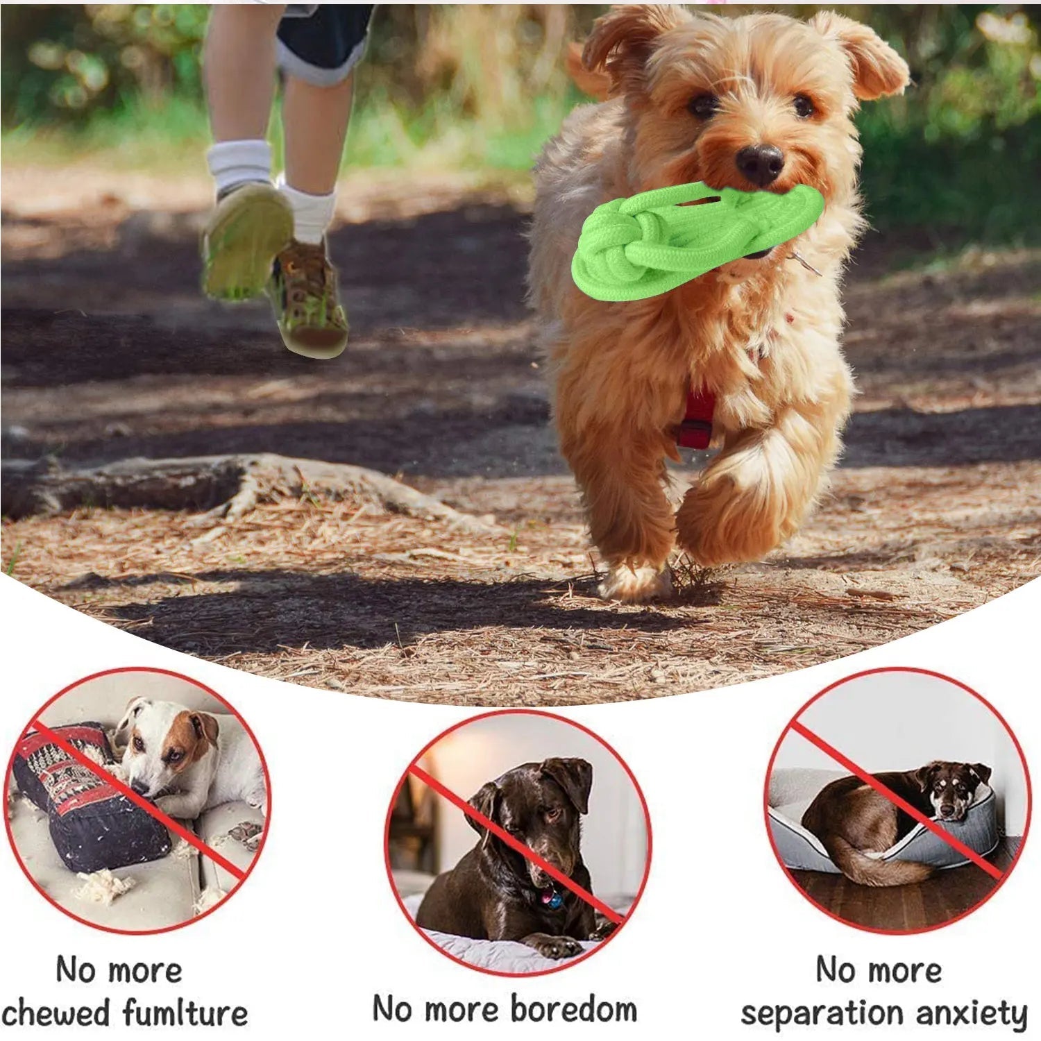 Dog Chewing Toy Cotton Slipper Rope Toy for Small Large Dogs Pet Teeth Training Molar Toys Interactive Dog Toy Dog Accessories - Tara's Tiny Treasures