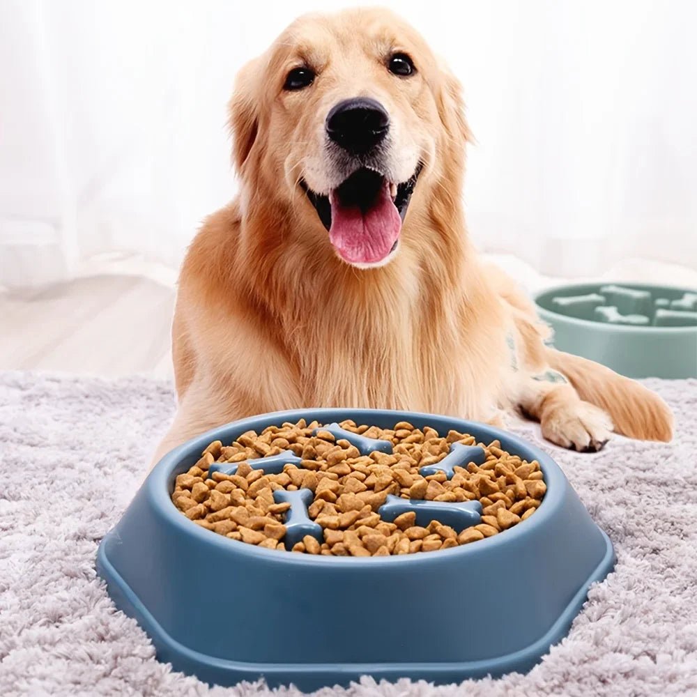 Dog Slow Feeder Non-choking Pet Bowl Anti Slip and Large Capacity for Dog and Cat Anxiety Relief Slow Food Feeding Pet Supply - Tara's Tiny Treasures