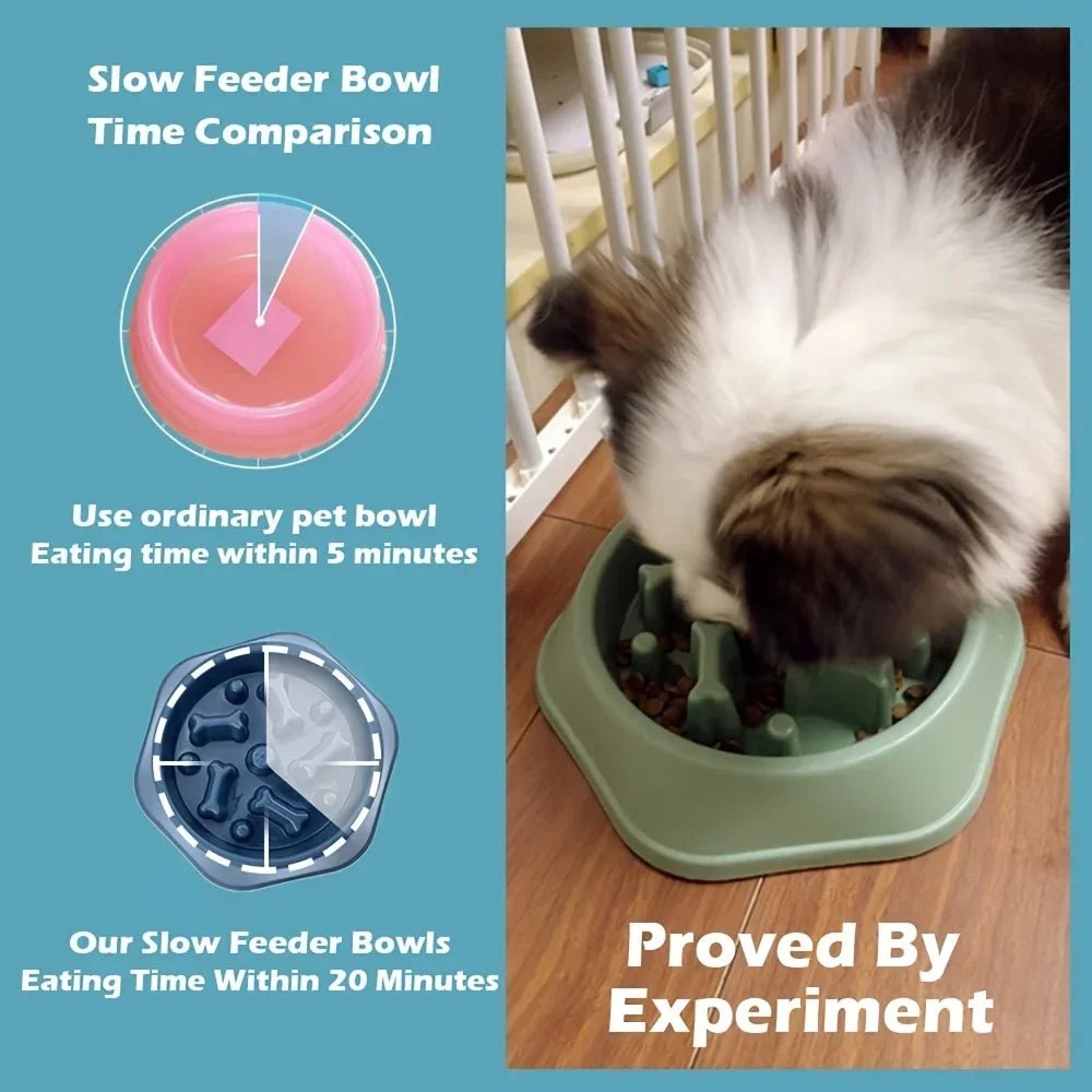 Dog Slow Feeder Non-choking Pet Bowl Anti Slip and Large Capacity for Dog and Cat Anxiety Relief Slow Food Feeding Pet Supply - Tara's Tiny Treasures