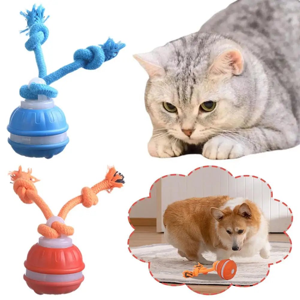 Interactive Dog Toy Ball with Rope Electronic Motion Activated Rolling Ball for Indoor Cat Dog Play Toys for Puppy Training Ball - Tara's Tiny Treasures