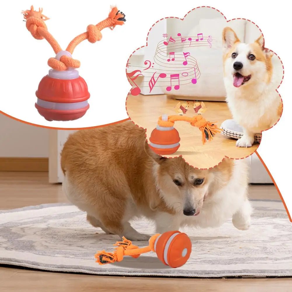 Interactive Dog Toy Ball with Rope Electronic Motion Activated Rolling Ball for Indoor Cat Dog Play Toys for Puppy Training Ball - Tara's Tiny Treasures