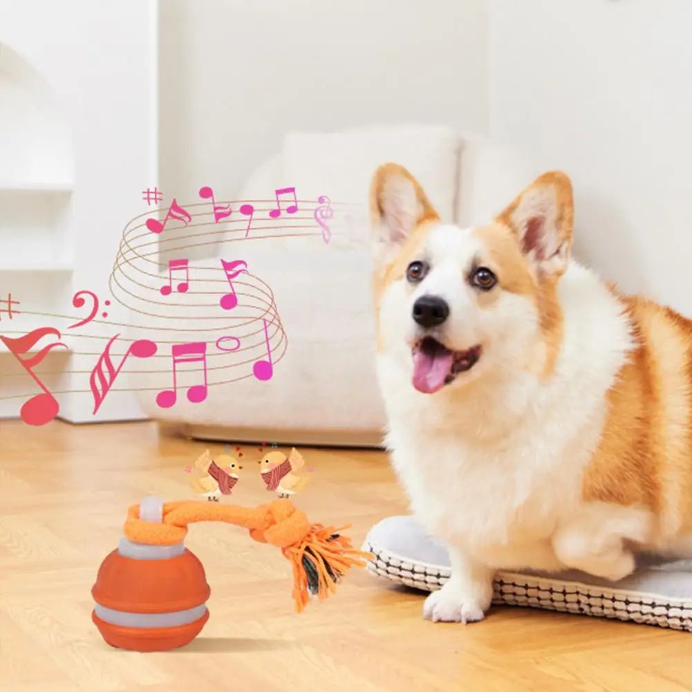 Interactive Dog Toy Ball with Rope Electronic Motion Activated Rolling Ball for Indoor Cat Dog Play Toys for Puppy Training Ball - Tara's Tiny Treasures