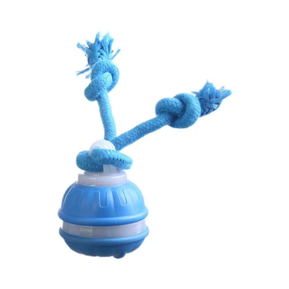 Interactive Dog Toy Ball with Rope Electronic Motion Activated Rolling Ball for Indoor Cat Dog Play Toys for Puppy Training Ball - Tara's Tiny Treasures