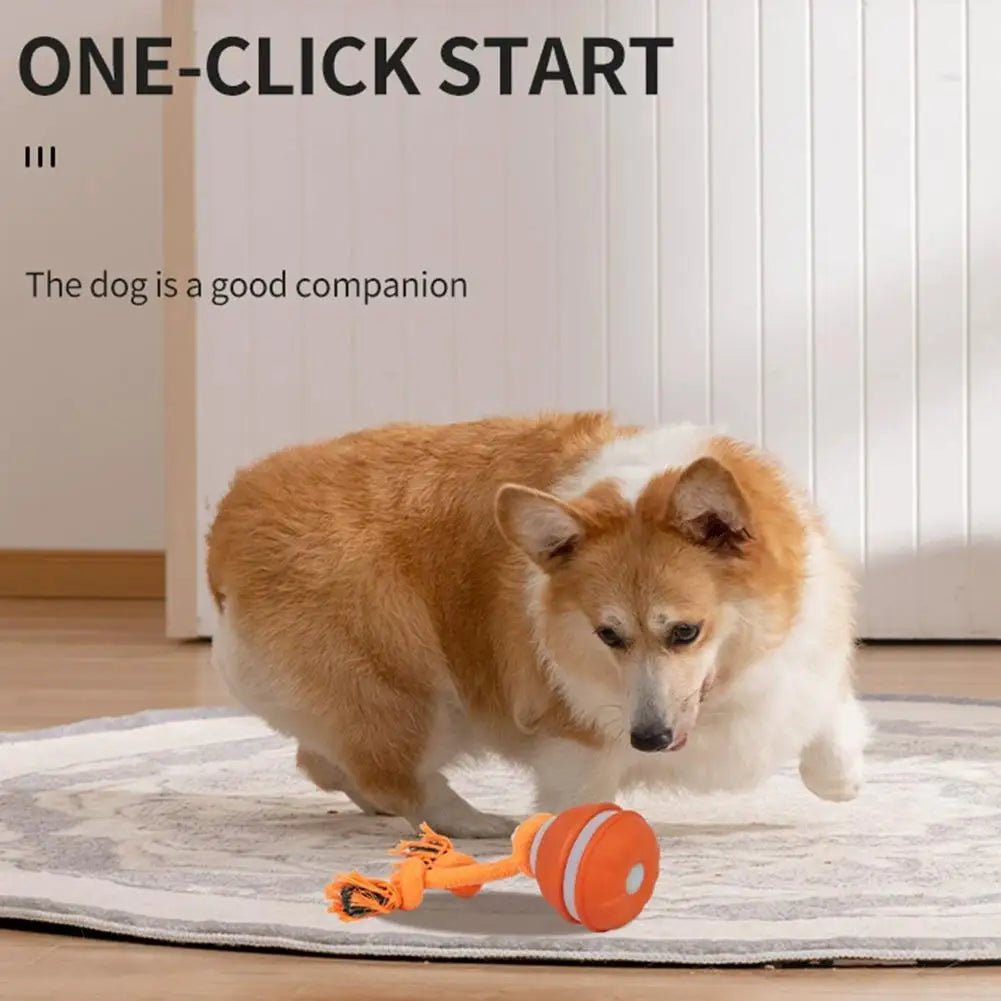 Interactive Dog Toy Ball with Rope Electronic Motion Activated Rolling Ball for Indoor Cat Dog Play Toys for Puppy Training Ball - Tara's Tiny Treasures
