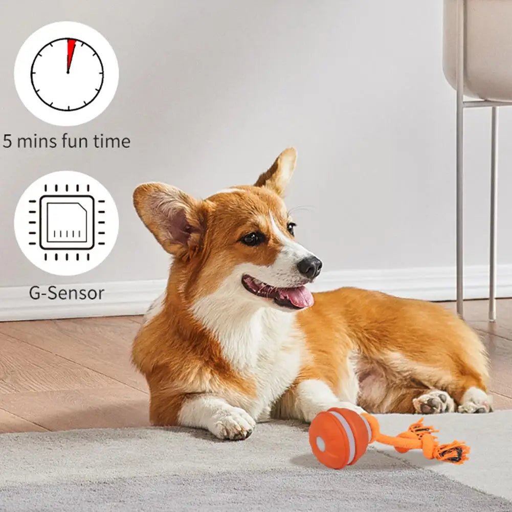 Interactive Dog Toy Ball with Rope Electronic Motion Activated Rolling Ball for Indoor Cat Dog Play Toys for Puppy Training Ball - Tara's Tiny Treasures