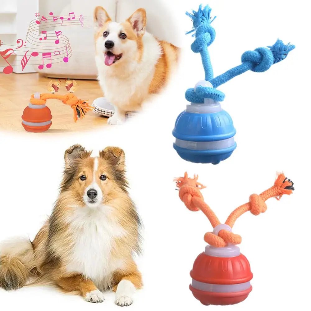 Interactive Dog Toy Ball with Rope Electronic Motion Activated Rolling Ball for Indoor Cat Dog Play Toys for Puppy Training Ball - Tara's Tiny Treasures