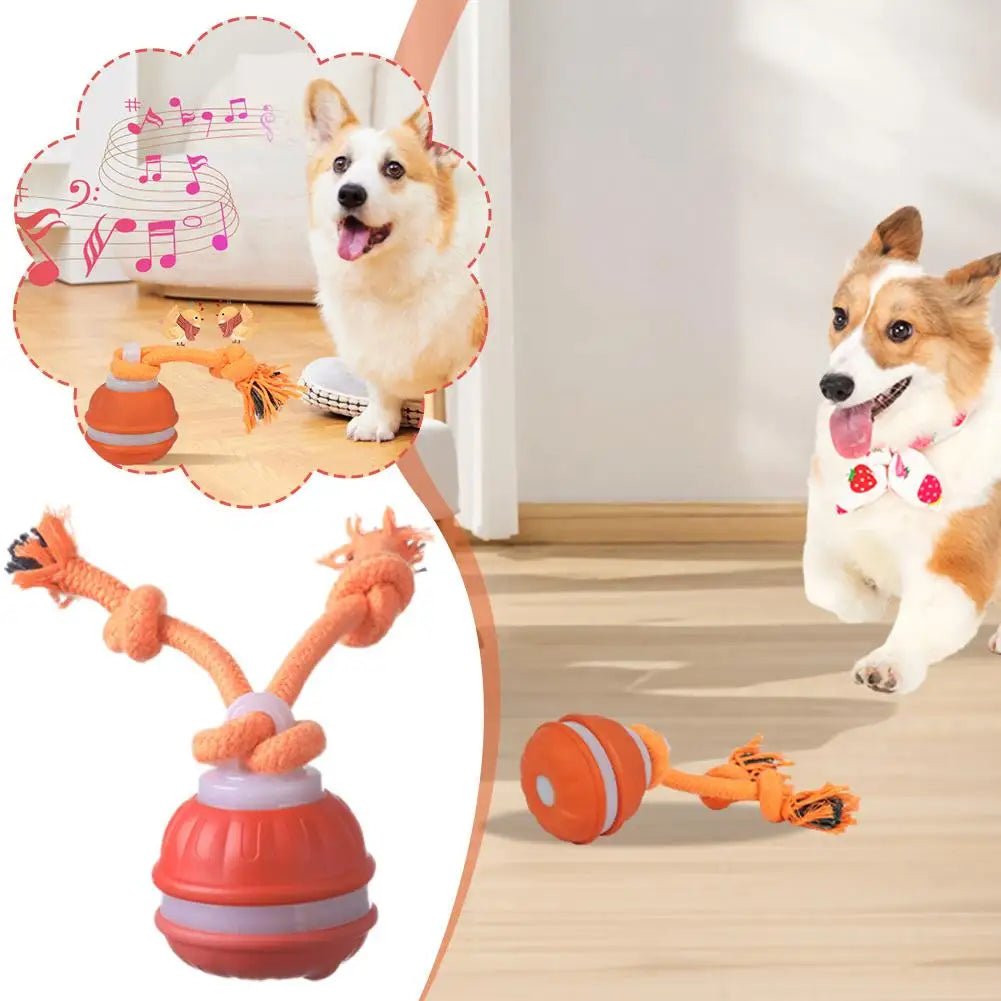 Interactive Dog Toy Ball with Rope Electronic Motion Activated Rolling Ball for Indoor Cat Dog Play Toys for Puppy Training Ball - Tara's Tiny Treasures