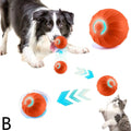 Interactive Dog Toy Ball with Rope Electronic Motion Activated Rolling Ball for Indoor Cat Dog Play Toys for Puppy Training Ball - Tara's Tiny Treasures