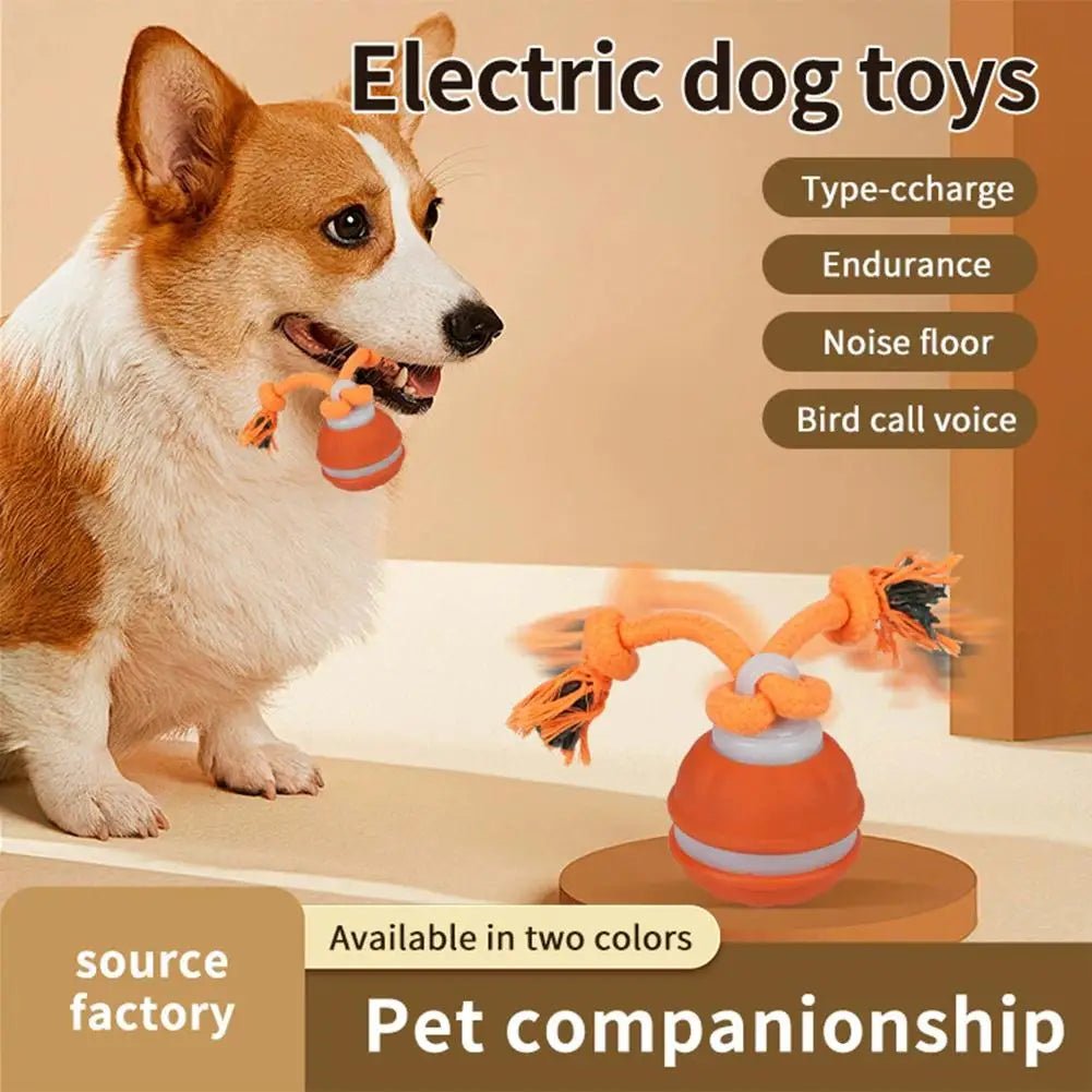 Interactive Dog Toy Ball with Rope Electronic Motion Activated Rolling Ball for Indoor Cat Dog Play Toys for Puppy Training Ball - Tara's Tiny Treasures