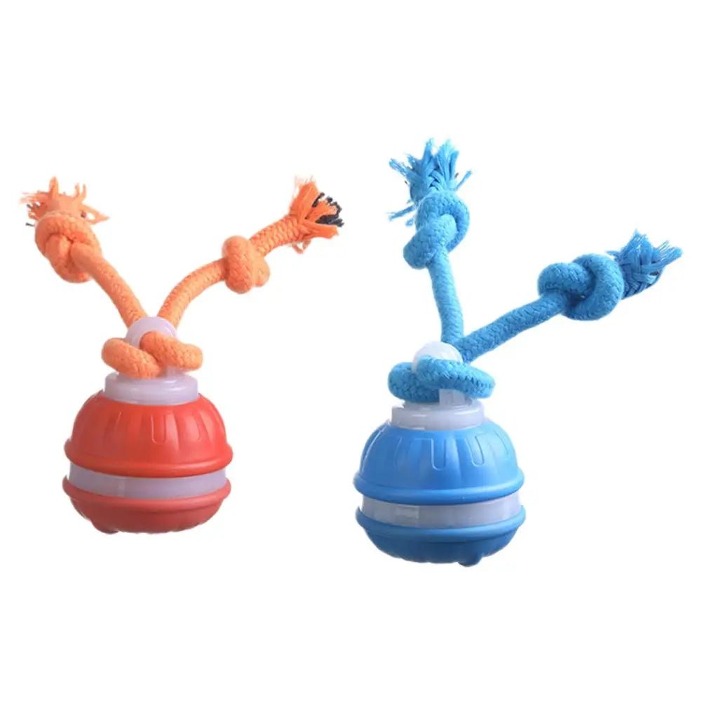 Interactive Dog Toy Ball with Rope Electronic Motion Activated Rolling Ball for Indoor Cat Dog Play Toys for Puppy Training Ball - Tara's Tiny Treasures