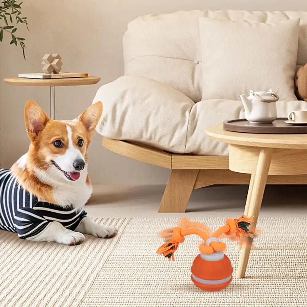 Interactive Dog Toy Ball with Rope Electronic Motion Activated Rolling Ball for Indoor Cat Dog Play Toys for Puppy Training Ball - Tara's Tiny Treasures