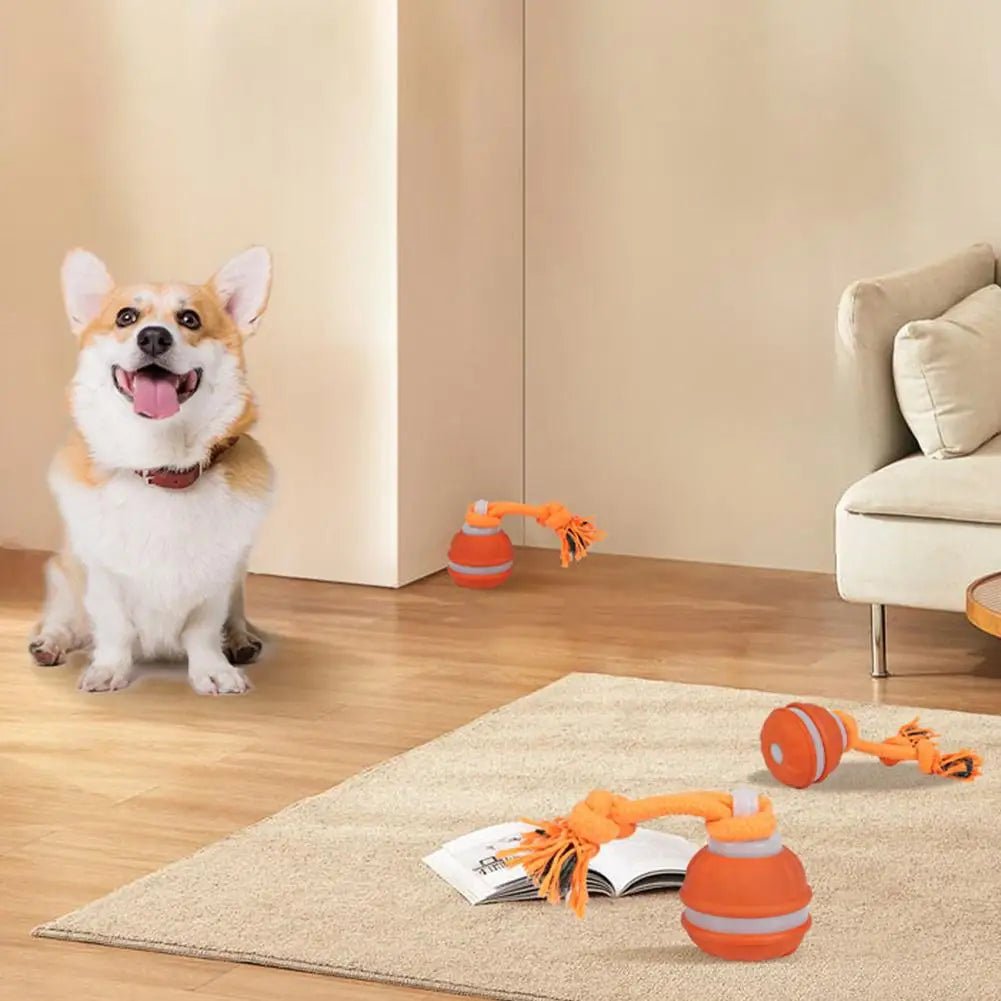 Interactive Dog Toy Ball with Rope Electronic Motion Activated Rolling Ball for Indoor Cat Dog Play Toys for Puppy Training Ball - Tara's Tiny Treasures