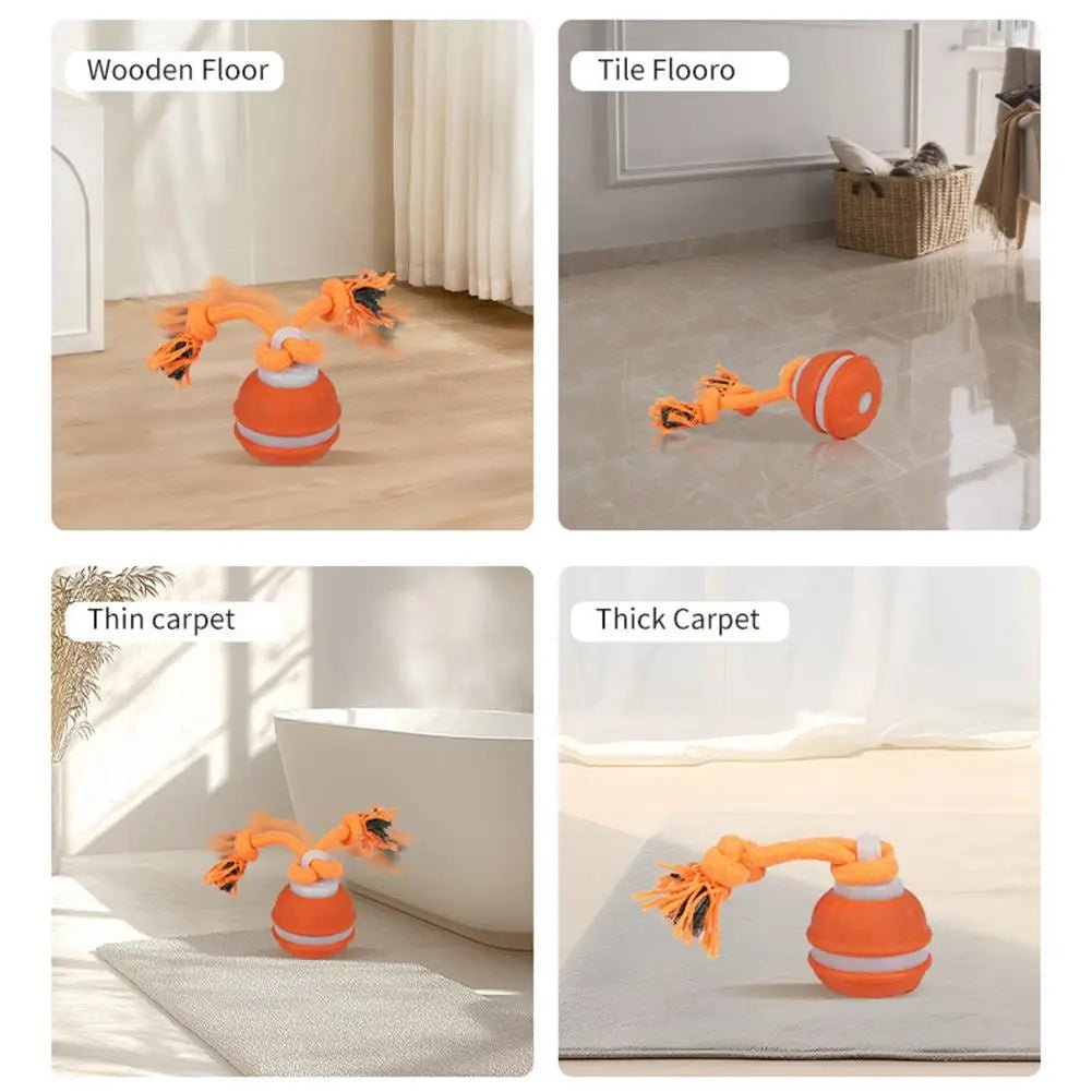 Interactive Dog Toy Ball with Rope Electronic Motion Activated Rolling Ball for Indoor Cat Dog Play Toys for Puppy Training Ball - Tara's Tiny Treasures