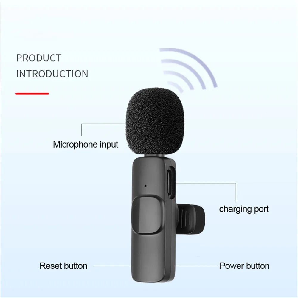 Lavalier Wireless Microphone 80mAh Rechargeable Battery Clip-On Podcast Mic for Streaming Vlogging Voice Recording Plug & Play - Tara's Tiny Treasures