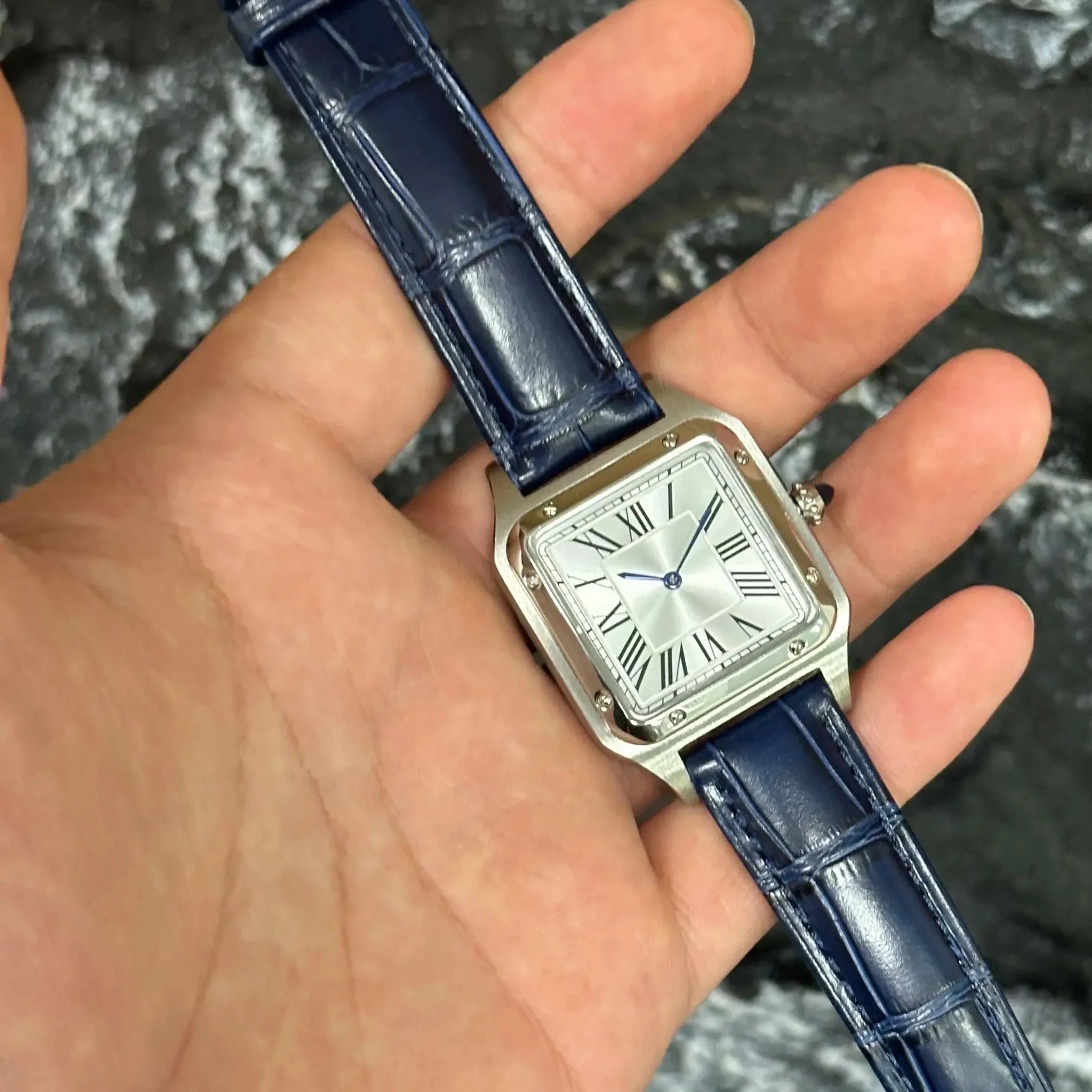 New Luxury Men's Quartz Watch Square Roman Numeral Dial Trendy Casual Business Watch Leather Strap Japanese Movement Stainless - Tara's Tiny Treasures