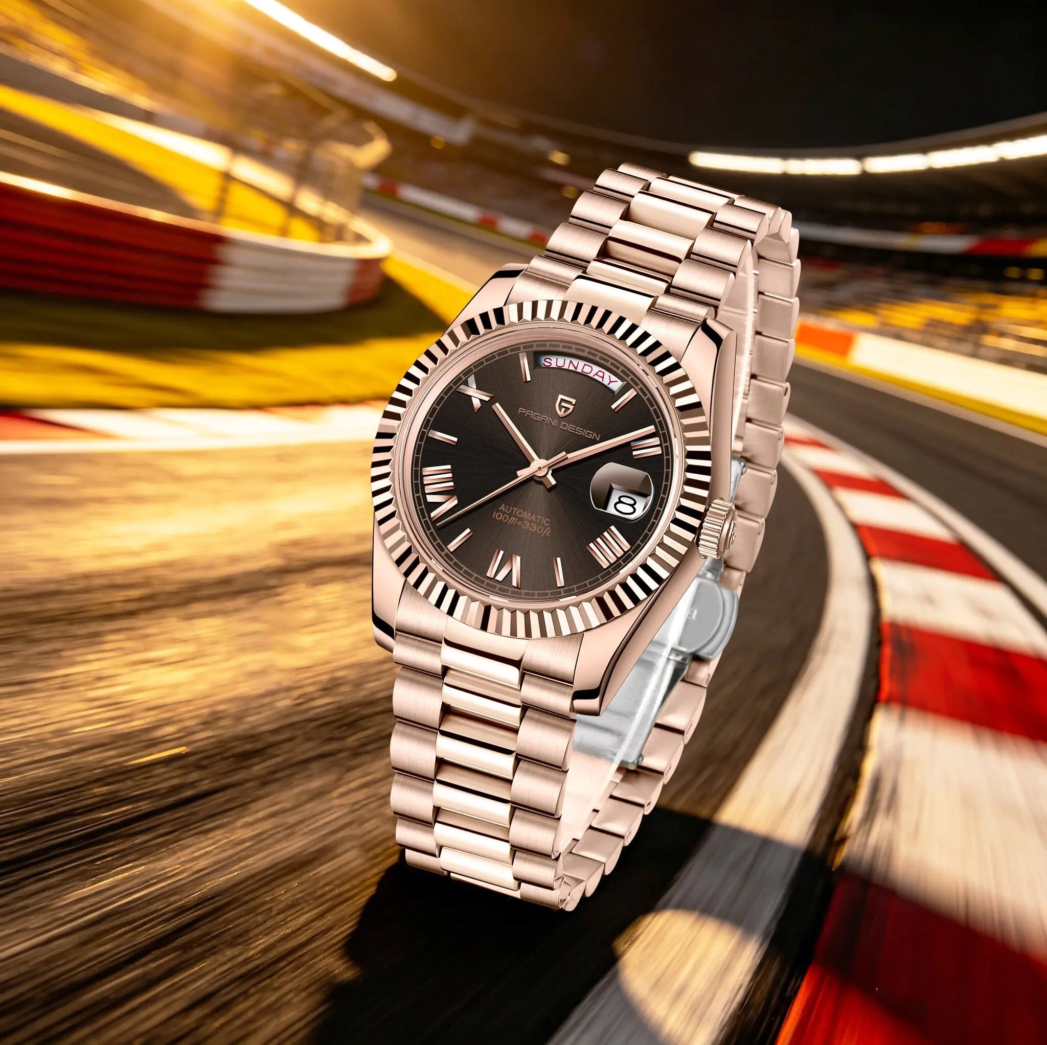 PAGANI DESIGN Niche Premium Men Mechanical Watch French Retro Palace Style Stainless Steel Sapphire Dive Date/Week Display Watch - Tara's Tiny Treasures