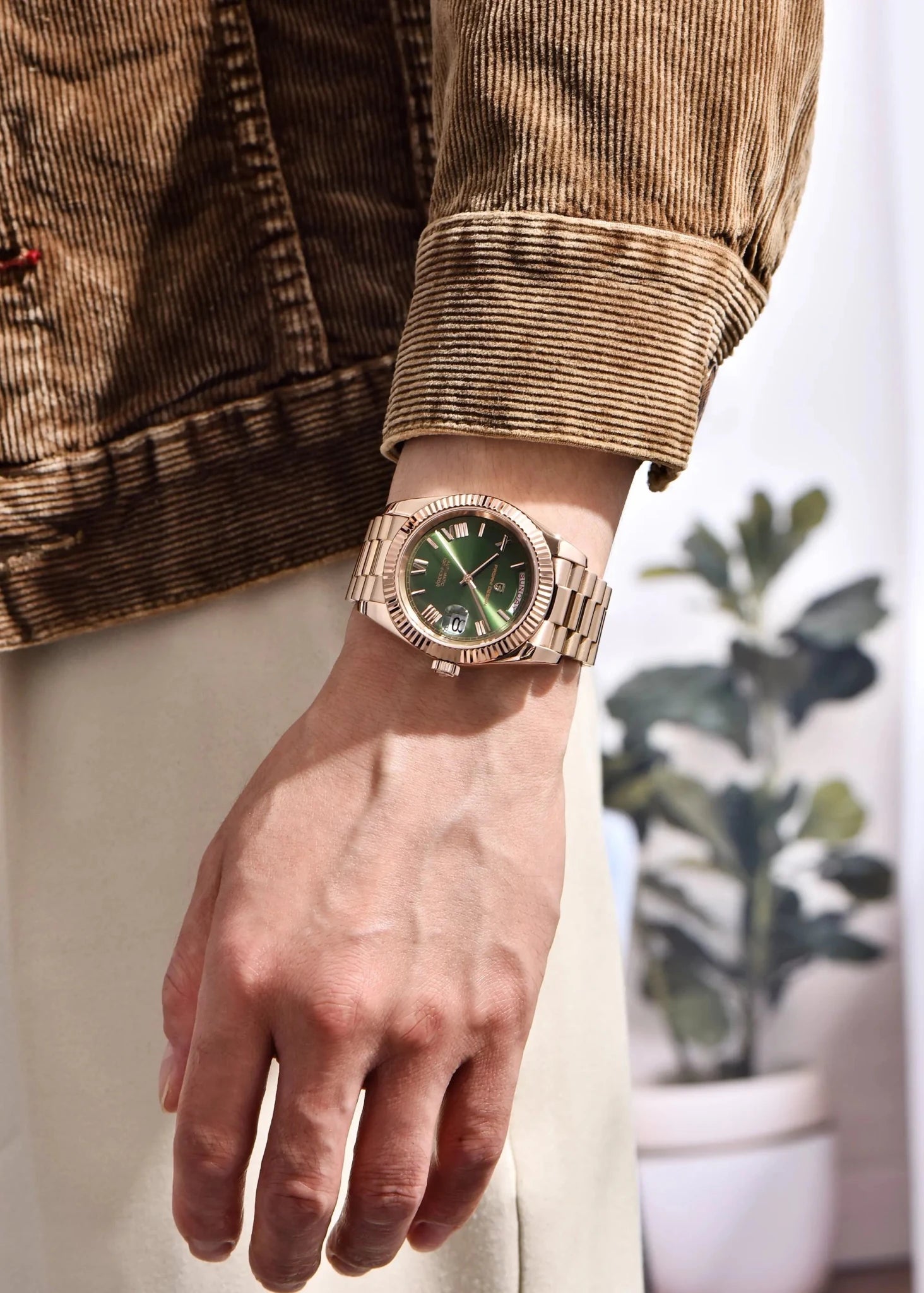 PAGANI DESIGN Niche Premium Men Mechanical Watch French Retro Palace Style Stainless Steel Sapphire Dive Date/Week Display Watch - Tara's Tiny Treasures