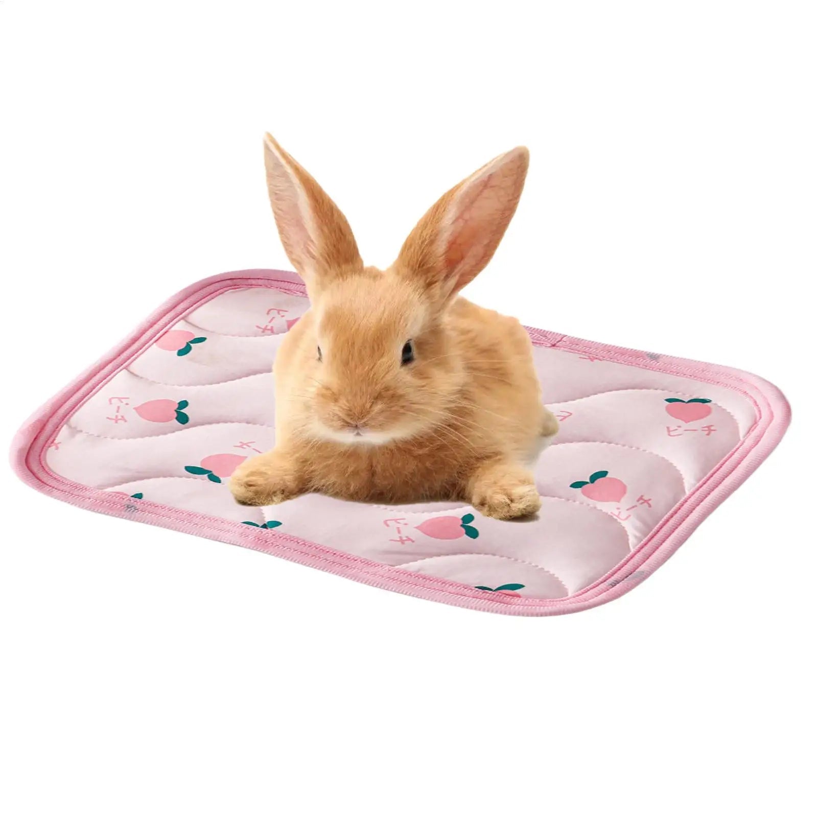 Summer Pet Cooling Mat Sleeping Bed Pet Cooling Blanket Portable Pet Cooling Mat Ice Cushion For Small Animals Pet supplies - Tara's Tiny Treasures