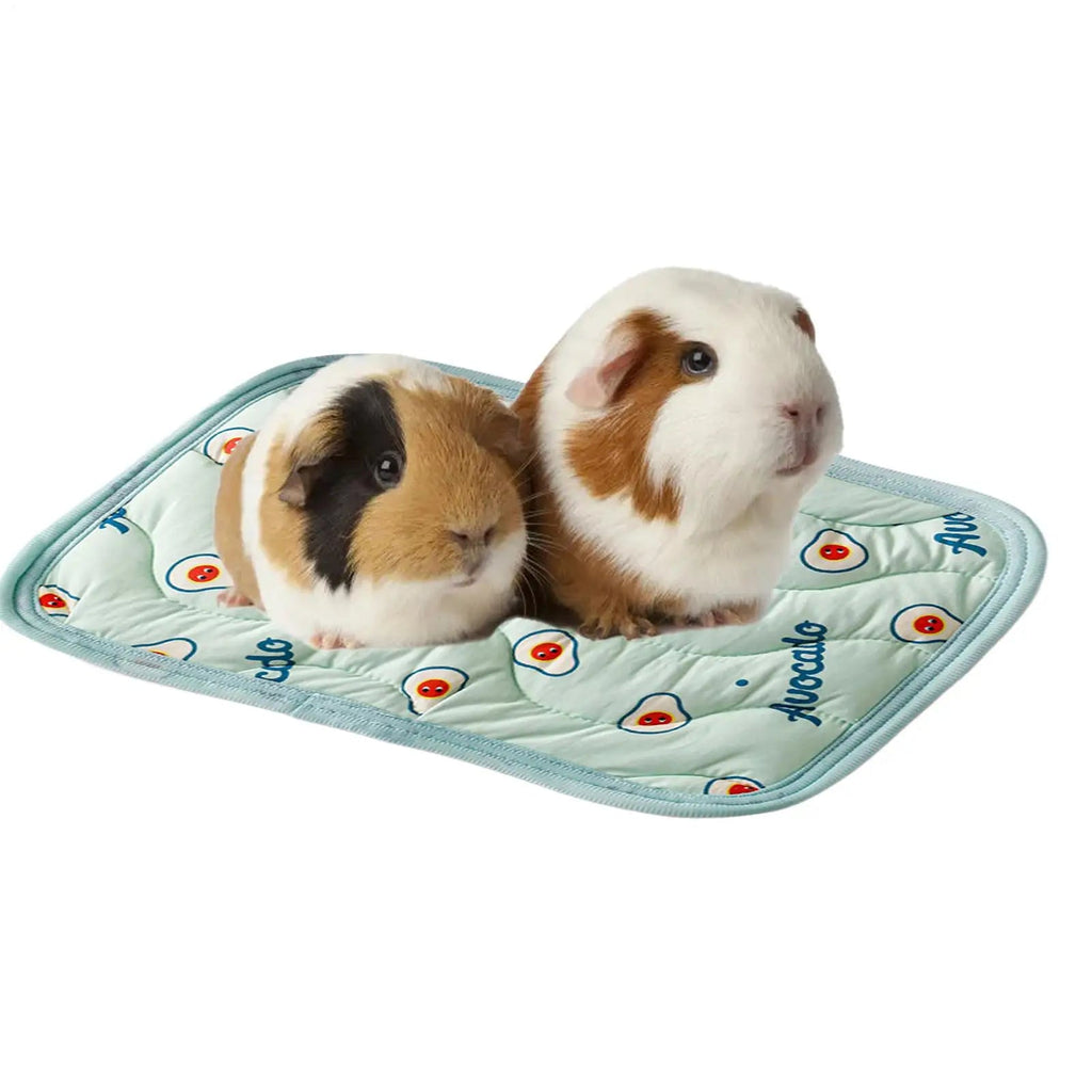 Summer Pet Cooling Mat Sleeping Bed Pet Cooling Blanket Portable Pet Cooling Mat Ice Cushion For Small Animals Pet supplies - Tara's Tiny Treasures