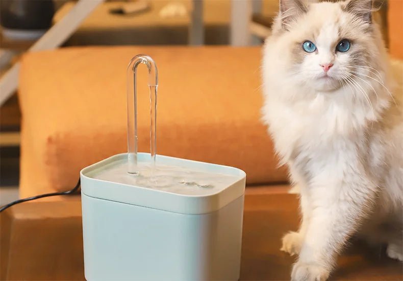 Ultra-Quiet Pet Water Fountain Auto Filter Electric Cat Dog Water Dispenser&Burnout Prevention Pump 1.5L Recirculate Filtrin - Tara's Tiny Treasures