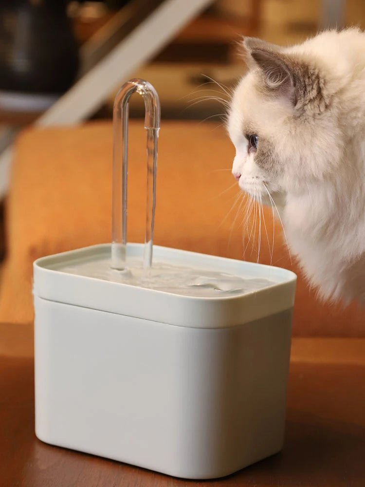 Ultra-Quiet Pet Water Fountain Auto Filter Electric Cat Dog Water Dispenser&Burnout Prevention Pump 1.5L Recirculate Filtrin - Tara's Tiny Treasures