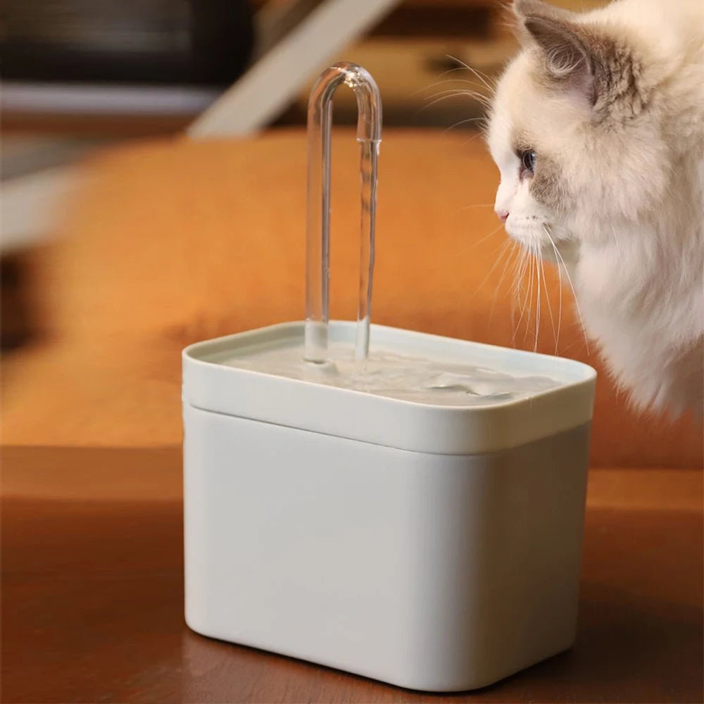 Ultra-Quiet Pet Water Fountain Auto Filter Electric Cat Dog Water Dispenser&Burnout Prevention Pump 1.5L Recirculate Filtrin - Tara's Tiny Treasures